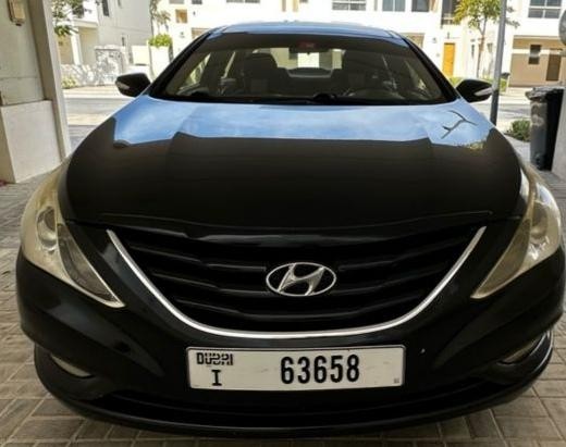 hyundai-sonata-big-1