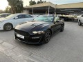 ford-mustang-small-5