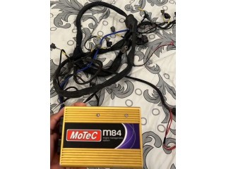 Motec M84