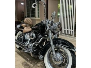 Harley 2007