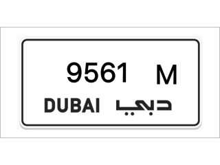 Dubai plate number