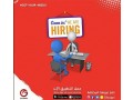 hiring-staff-for-sales-executive-small-0