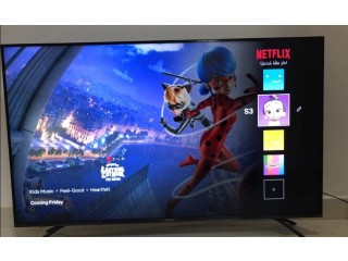 Hiscense 55 inch tv