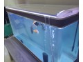 fish-tank-aquarium-small-0