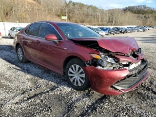 Camry LE hybrid 2020