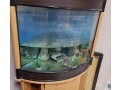 fish-tank-aquarium-small-0