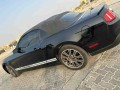 ford-mustang-2010-small-2