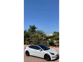 Tesla model 3 2021