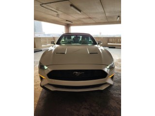 Mustang 2019