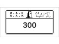 ras-al-khaimah-number-plates-small-0