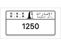 ras-al-khaimah-number-plates-small-0