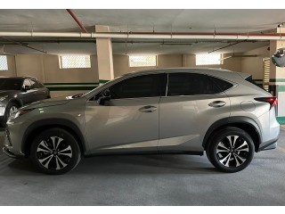 Lexus NX300 F Sport 2020